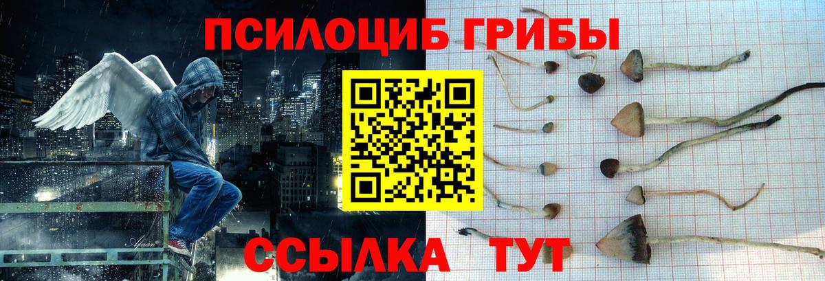 Галлюциногенные грибы MAGIC MUSHROOMS  Вход с VPN  Ялуторовск  Псилоцибиновые грибы Cubensis 
